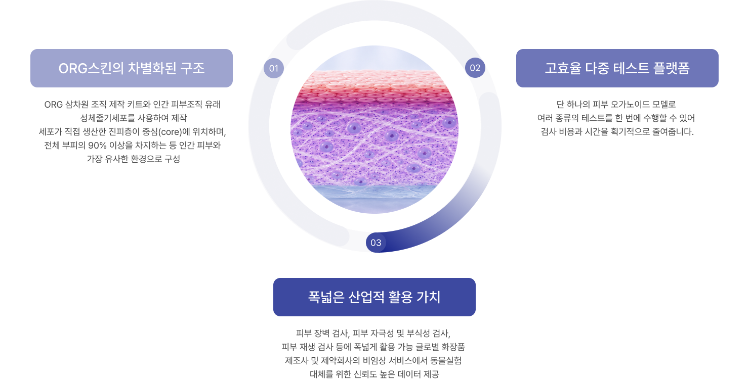 ORG스킨 차별화 구조